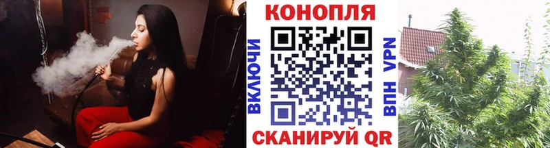 ссылка на мегу ссылка  Бор  Бошки марихуана ГИДРОПОН 